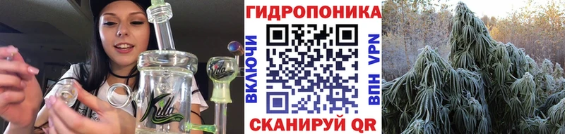 Конопля OG Kush  гидра маркетплейс  Электроугли 